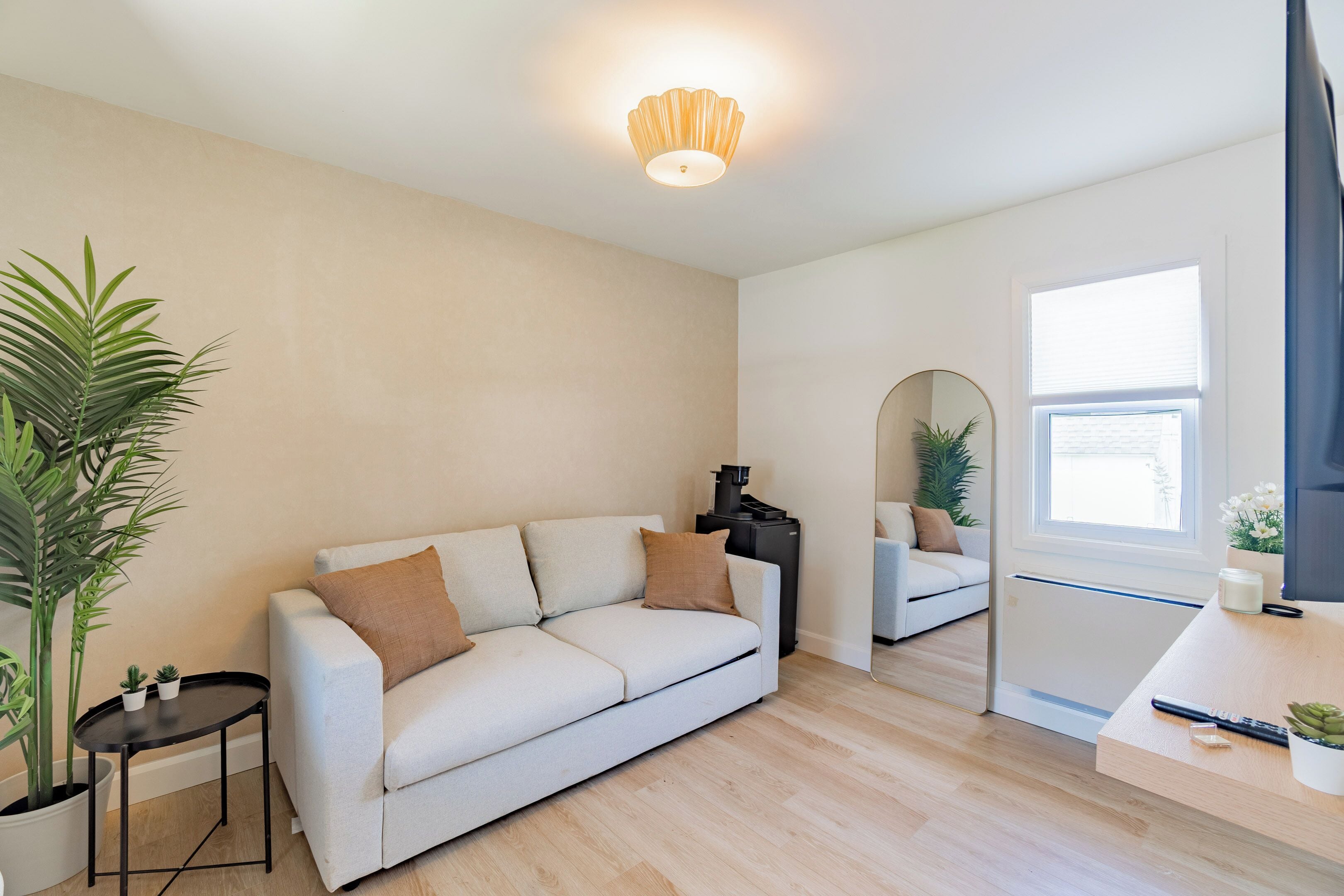 A modern living room with a sofa, coffee table, and potted plants.
