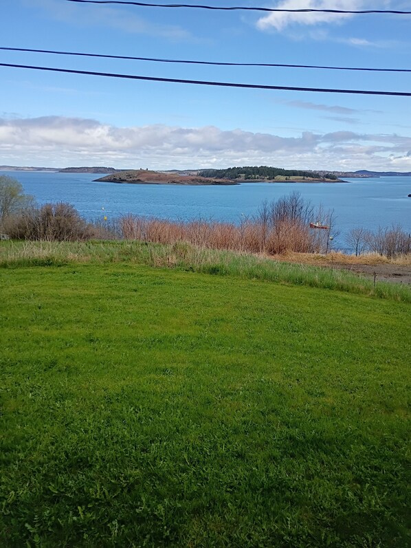 A grassy field with a view of a lake and distant hills. - Cozy three bedroom cottage overlooking Johnson Bay. (Lubec)