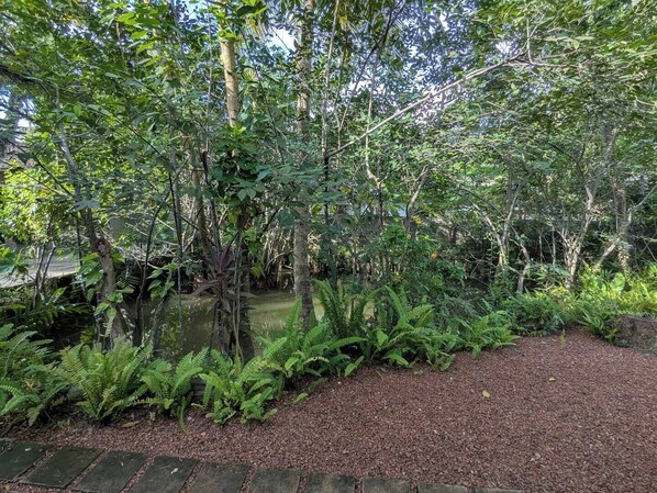 A garden with a variety of trees and ferns, a small pond, and a gravel path.