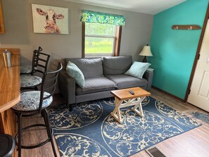 Living area - Adorable 1-bedroom barndo with AC in charming Lumberton (Lumberton)