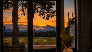 A view through a window with a tree, a mountain, and a field.
