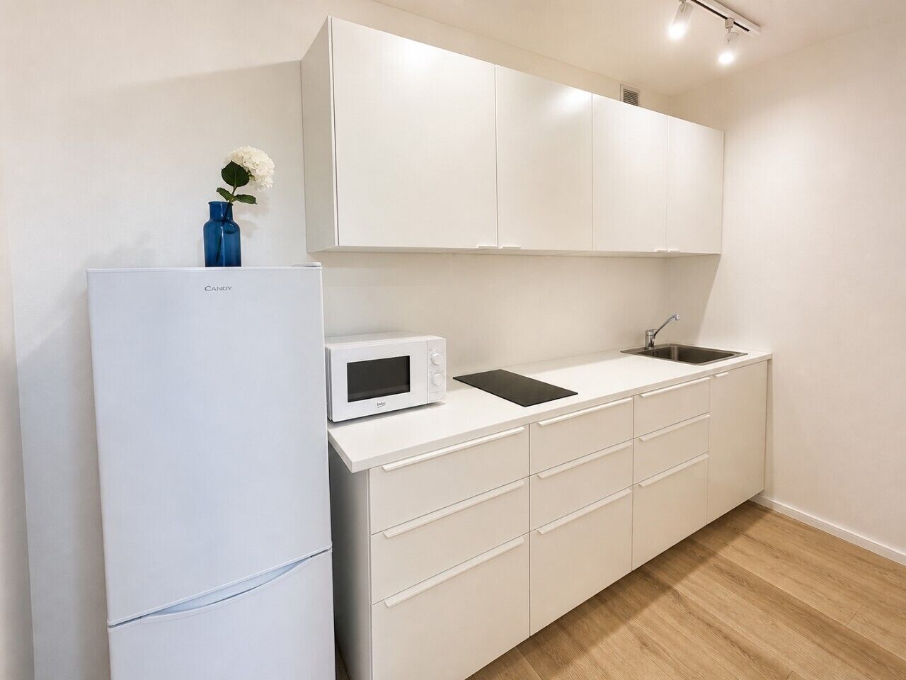 Fridge, microwave, stovetop, cookware/dishes/utensils