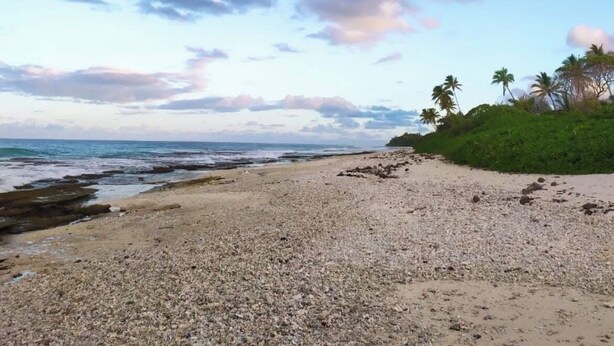 A beach with pebbles, a calm sea, and a cloudy sky. - Fare Miki Miki (Huahine)