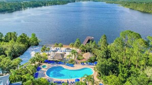 Un resort con piscina rodeada de palmeras y sillas de descanso, con vista a una gran extensión de agua.