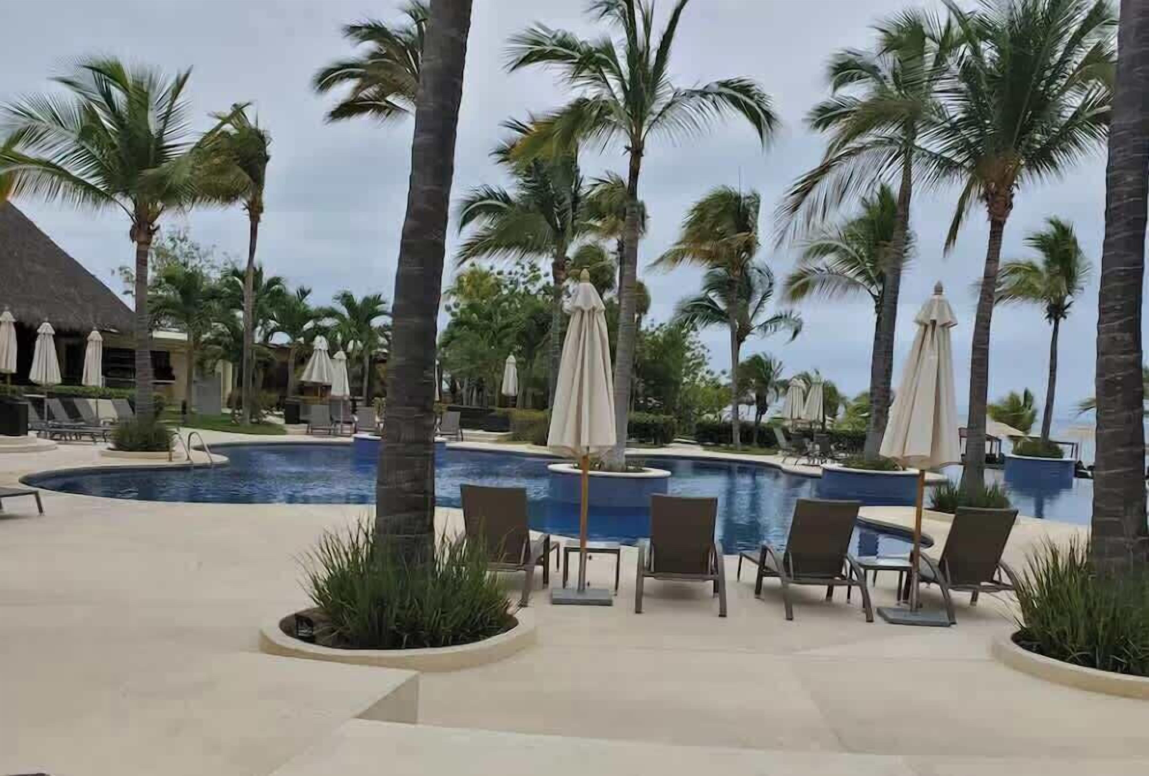 A pool area with lounge chairs and umbrellas, surrounded by palm trees.