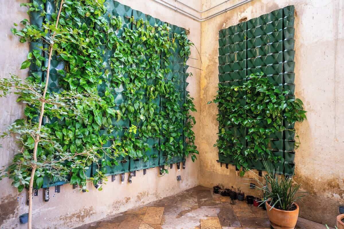 A room with a green leafy wall, a potted plant, and a tiled floor.