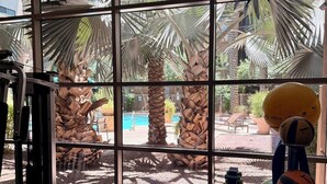 A gym with exercise equipment, a large window with a view of palm trees and a pool. - Home-like 3-bedroom condo with Resort Amenities in beautiful Phoenix (Phoenix)