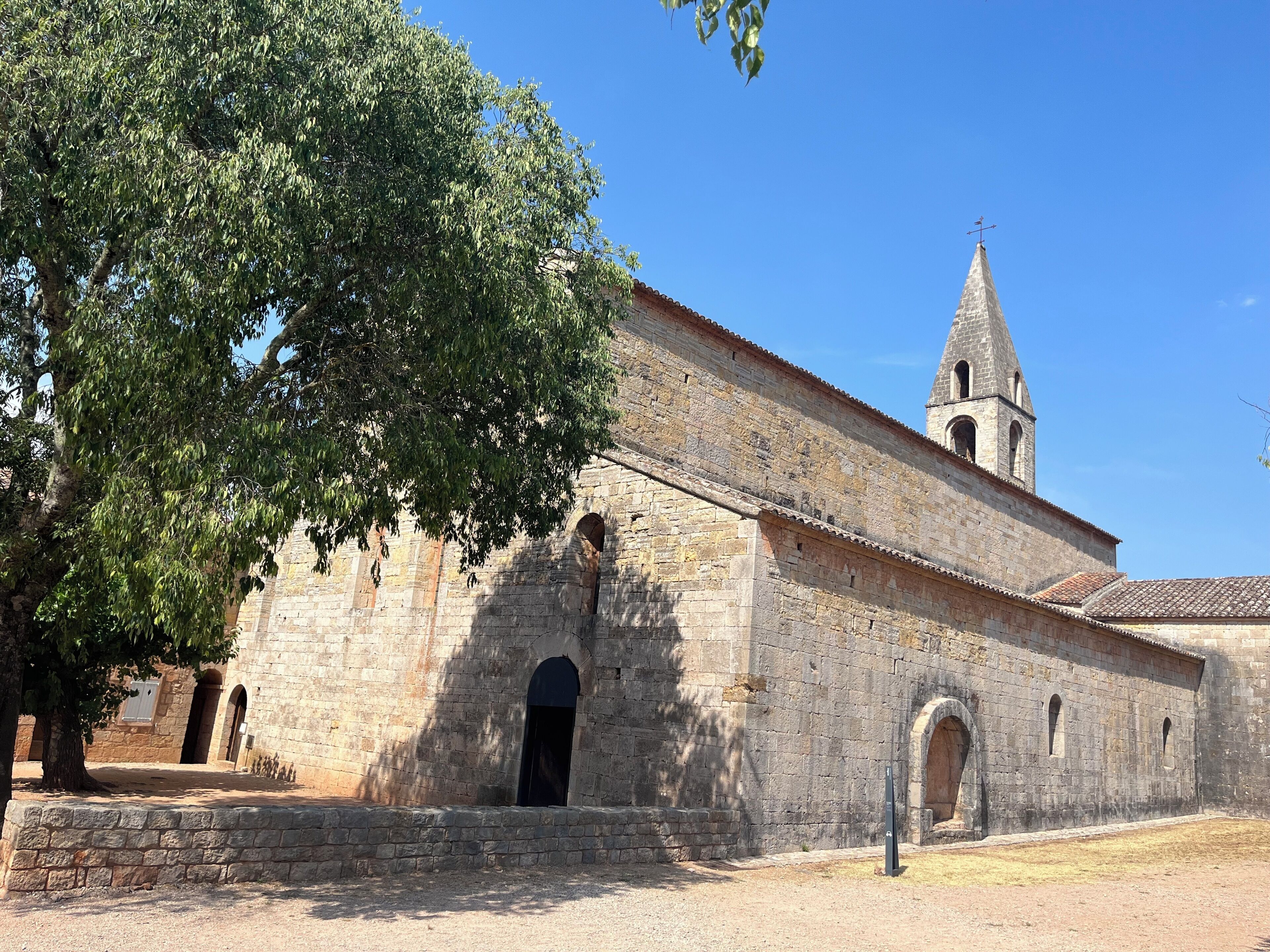 Un edificio histórico de piedra con una torre de campanas, arcos en las puertas y un gran árbol en primer plano.