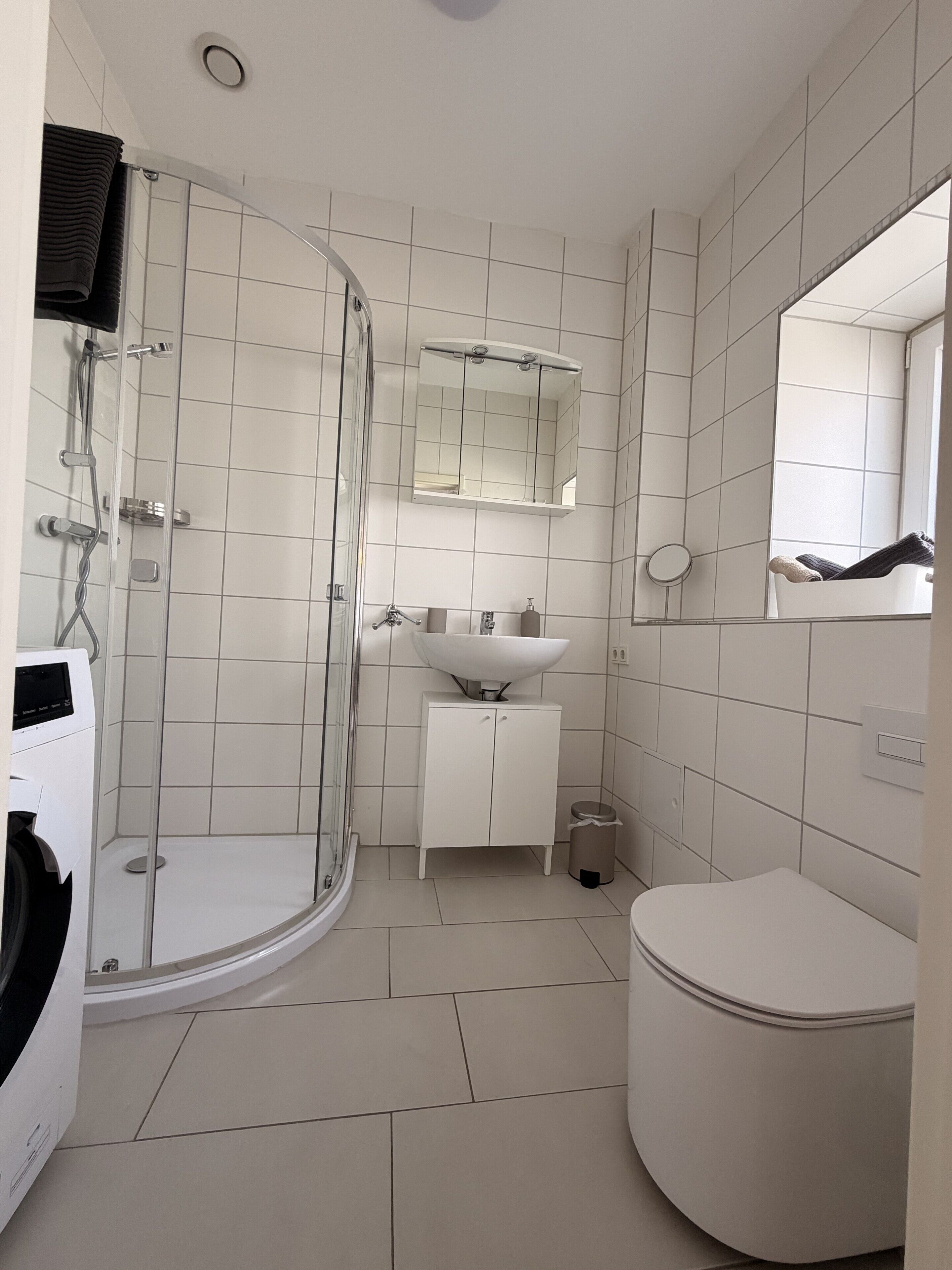A modern bathroom with a glass shower enclosure, a white sink, and a toilet.