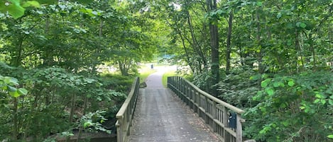 A wooden bridge in a wooded area.