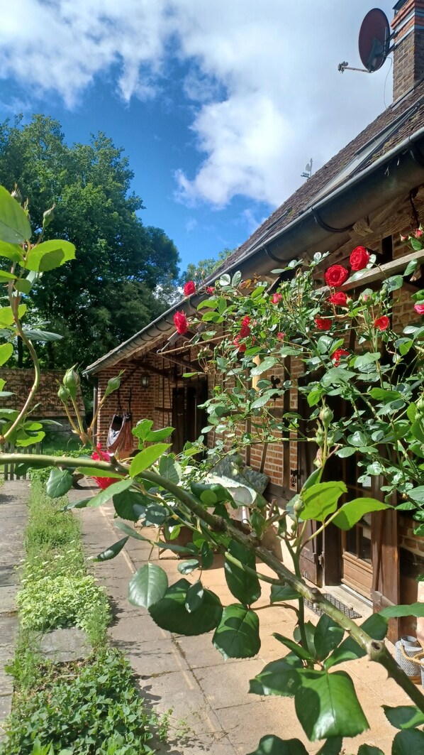 A brick building with a satellite dish, a garden with red flowers, and a clear blue sky.