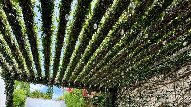 Um pátio externo com pérgola coberta de vegetação, uma banheira de hidromassagem e uma parede de pedra.