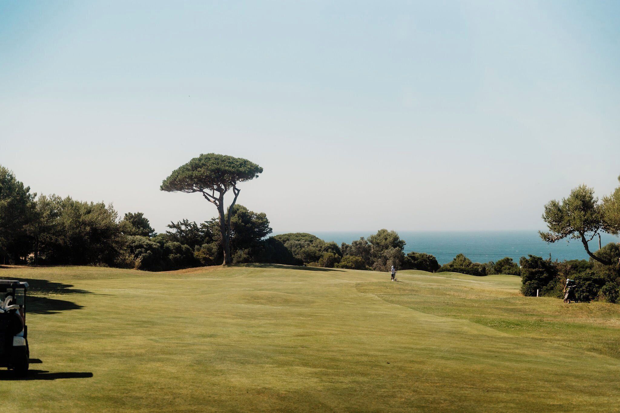 Camp de golf amb vista despejada a l'oceà, un arbre solitari i un carro de golf.