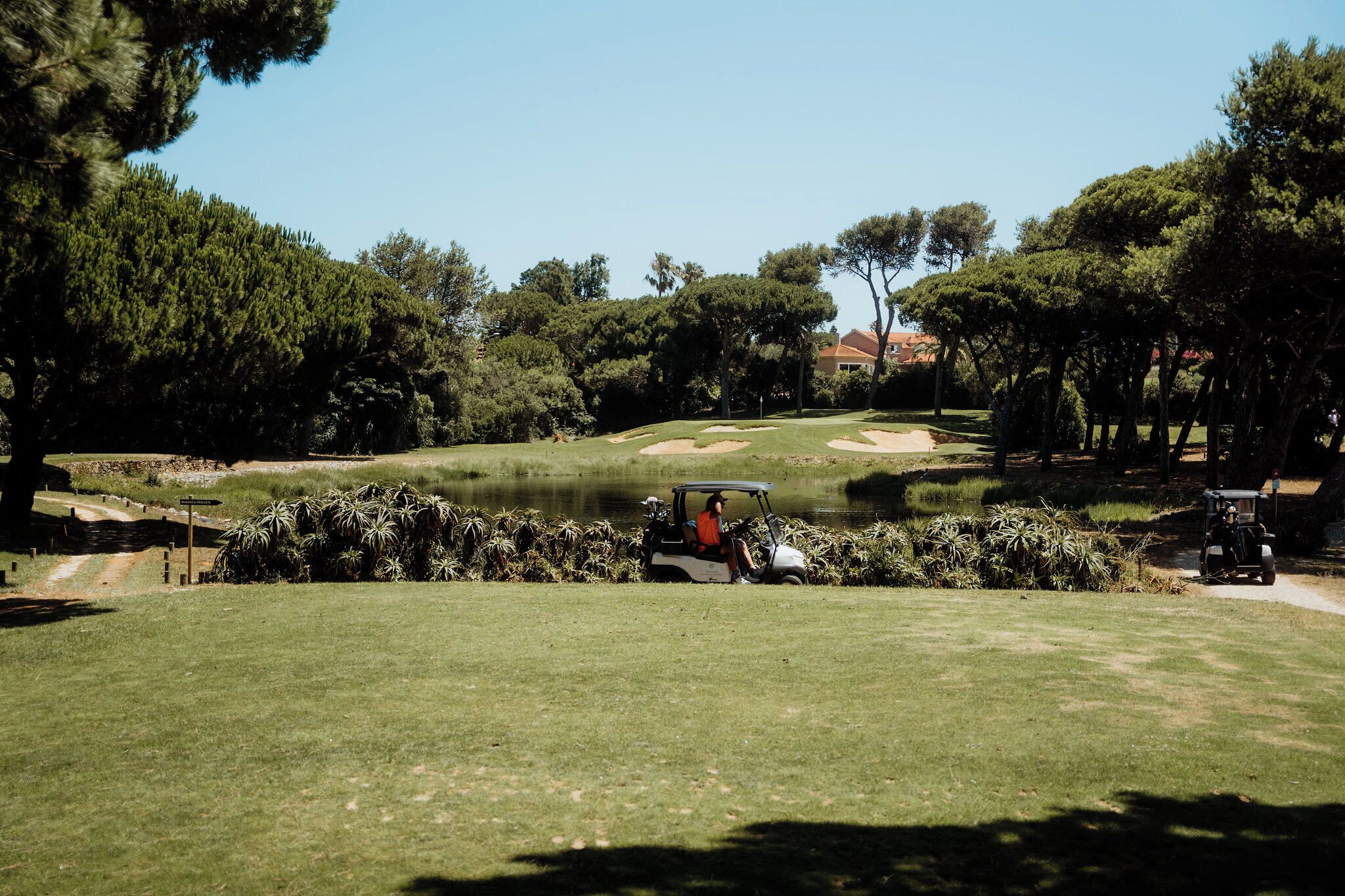 Ein Golfplatz mit Teich, Bäumen und einem Golfwagen.