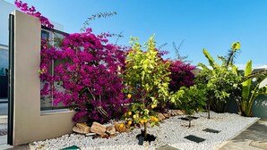 En vackert anlagd trädgård med ett stort utbud av växter, inklusive bougainvillea och citrusfrukter, samt en gång som är belagd med vita småsten.