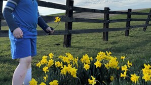 A person standing in a field of yellow flowers with a wooden fence in the background.