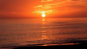 A sunset over a calm sea with a silhouette of a bird on the shore. - Waterfront Home with Pool & Dock (Siesta Key)