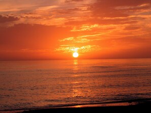 A sunset over a calm sea with a silhouette of a bird on the shore. - Waterfront Home with Pool & Dock (Siesta Key)