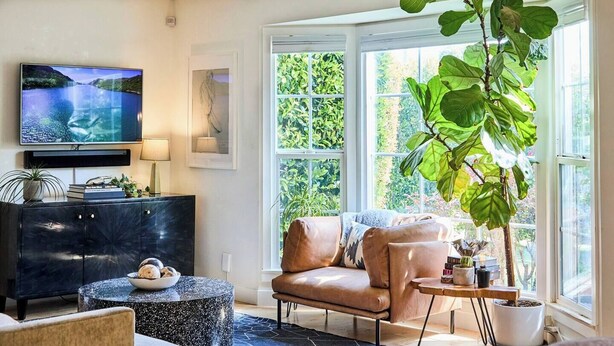 Ein Wohnzimmer mit Fernseher, einer Couch, einem Couchtisch und einer großen Pflanze.