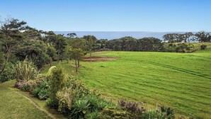 A grassy field with trees and a clear sky. - Little Kowhai - Te Kaha Holiday Home (Te Kaha)