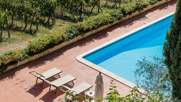 Un espace piscine avec des chaises longues et une plante en pot.