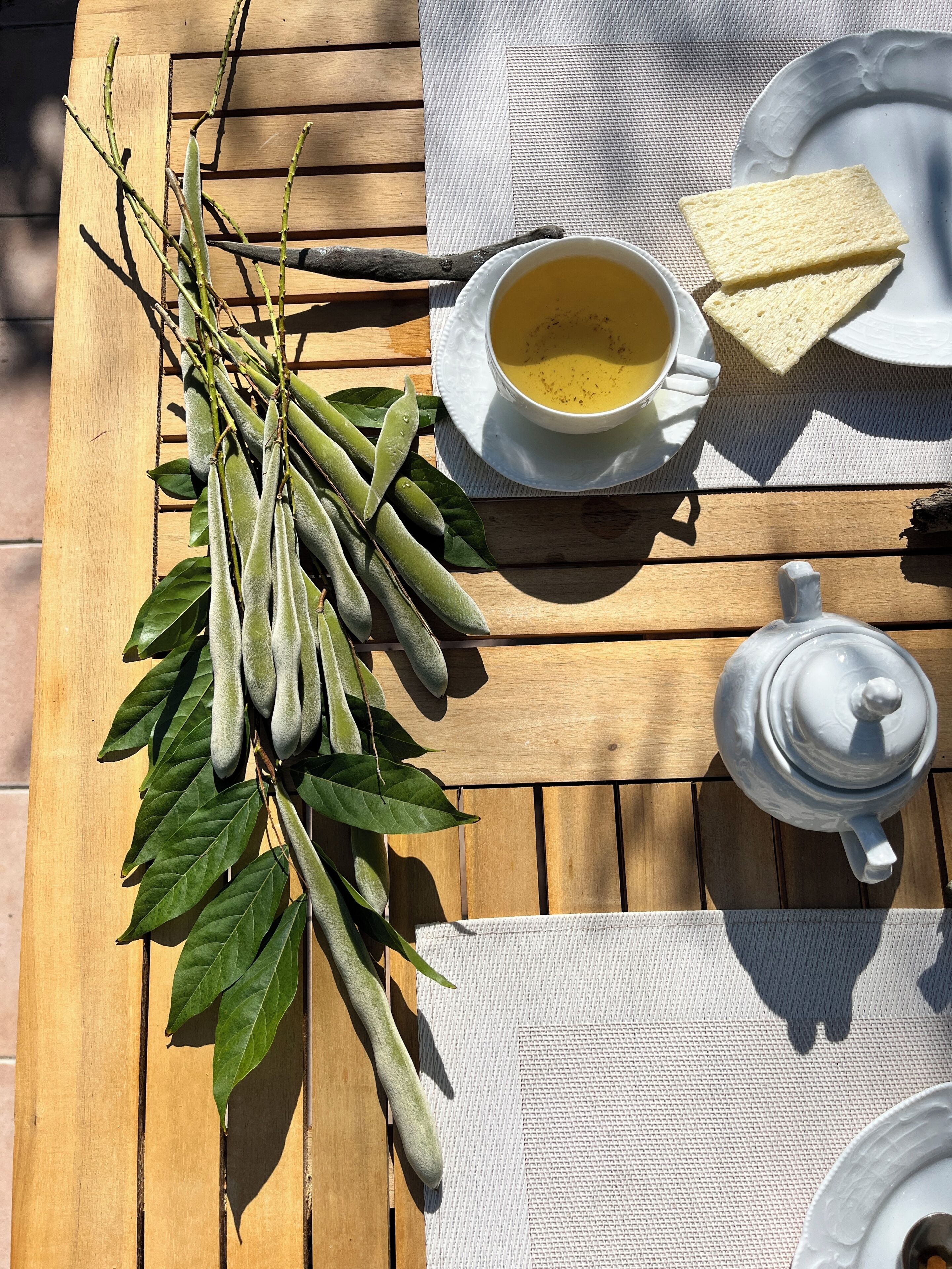 Uma mesa de madeira com uma chaleira branca, uma xícara de chá, um prato com pão e um ramo de folhas verdes.