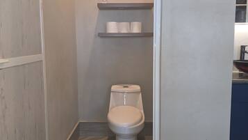 Shower, hair dryer, towels, toilet paper