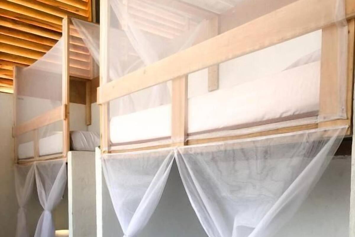 Basic Shared Dormitory | WiFi (free)