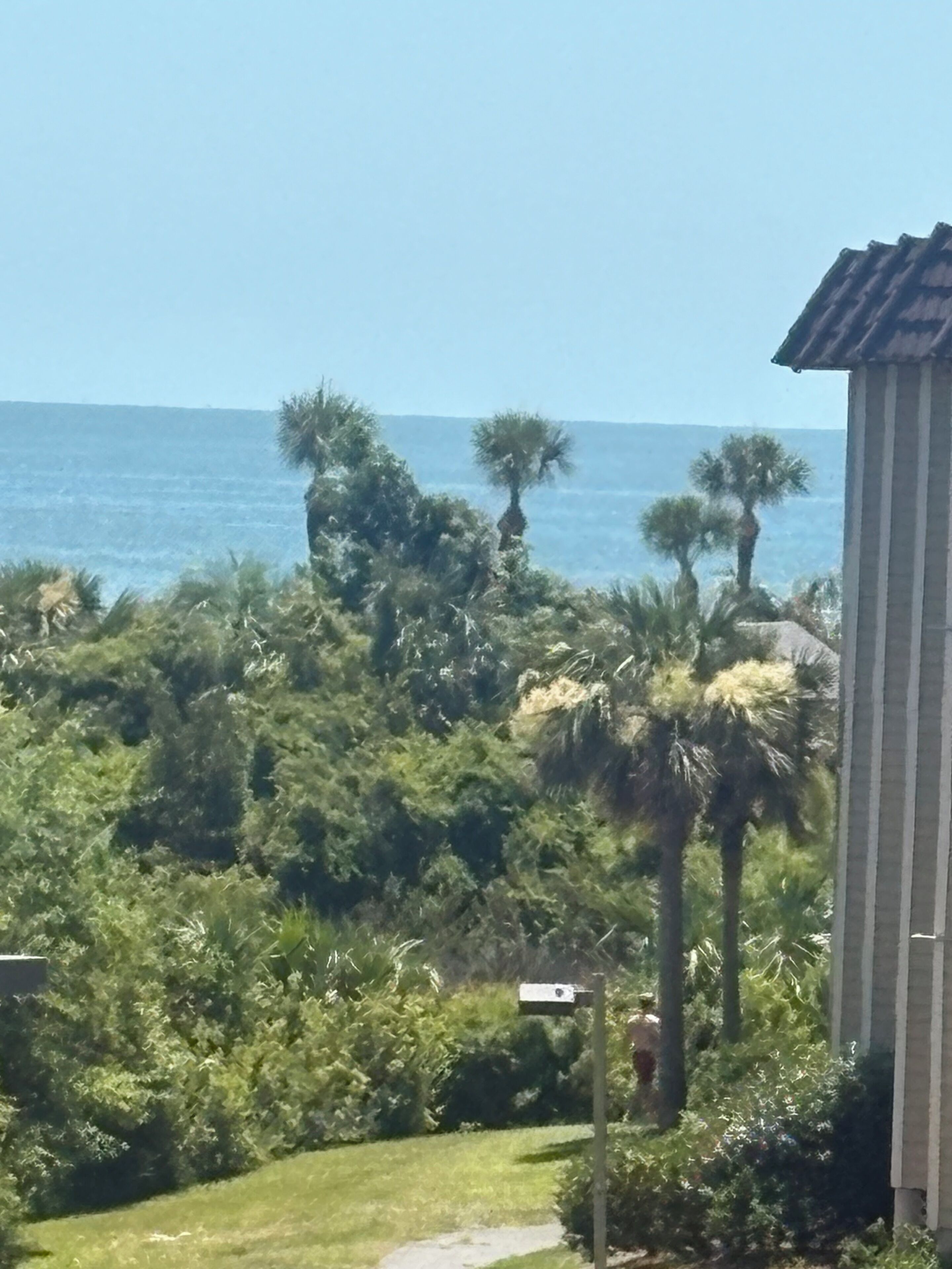 view from our balcony off the living room 