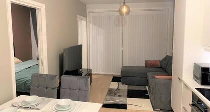 Scandpoint Apartments Oslo ski in ski out all Year in Snooslo With Free Parking