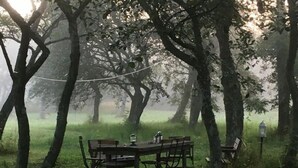 Unclassified image, 2 of 31, button - Cozy vacation home in sunny southern Gotland with a large garden, sauna, and much more. (Burgsvik)