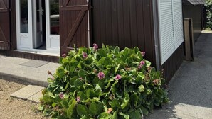A building with a dark exterior, a sliding glass door, and a small garden with green plants and pink flowers.