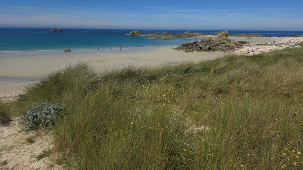 A beach with clear skies, sandy shores, and rocky outcrops.