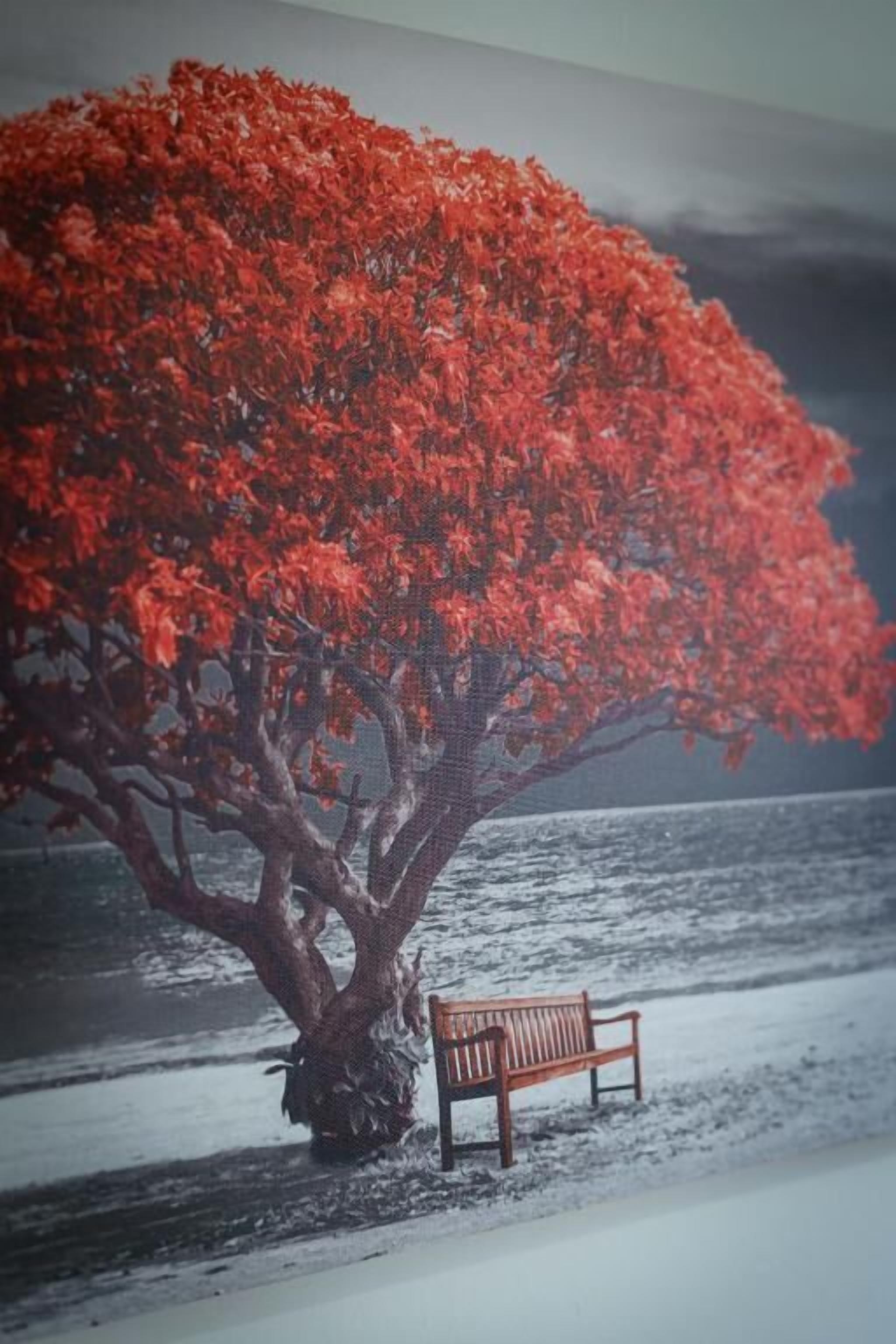 A bench under a tree by a body of water.