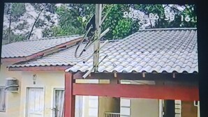 Exterior - Perfect cabin retreat in amazing Florianópolis for your getaway (Florianópolis)