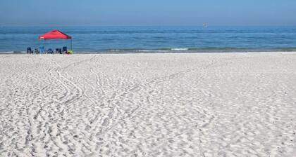 Calming Coastal Studio-Steps to Madeira Beach
