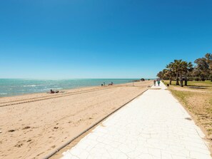 Ein Strand mit gepflastertem Weg, Palmen und dem Meer.
