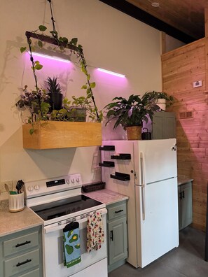 Private kitchen - Cozy Sanford Barndominium (Sanford)