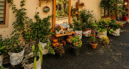 Sheki Secret Garden