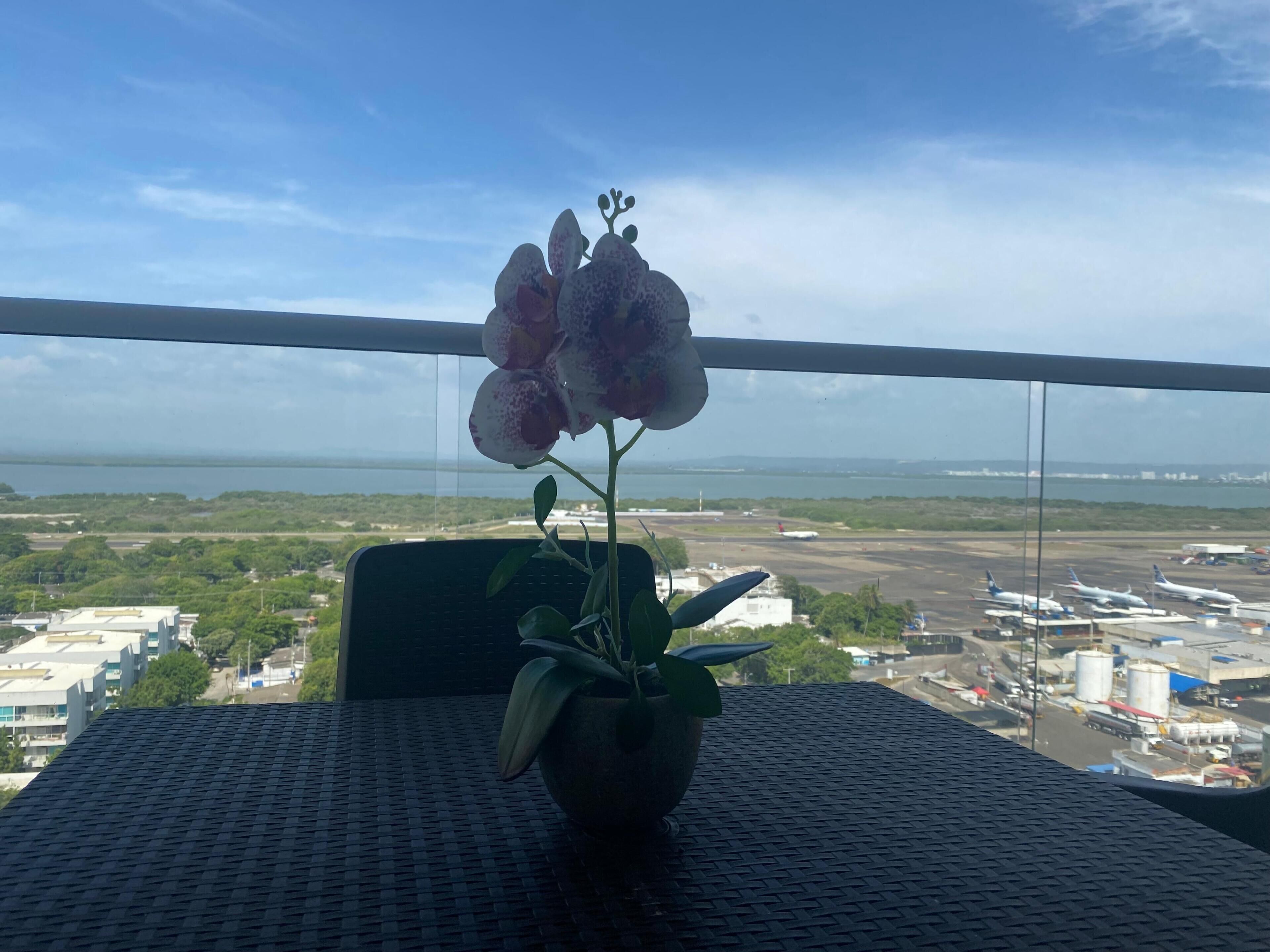 Comfort Studio, Balcony, Lagoon View | Teres/patio