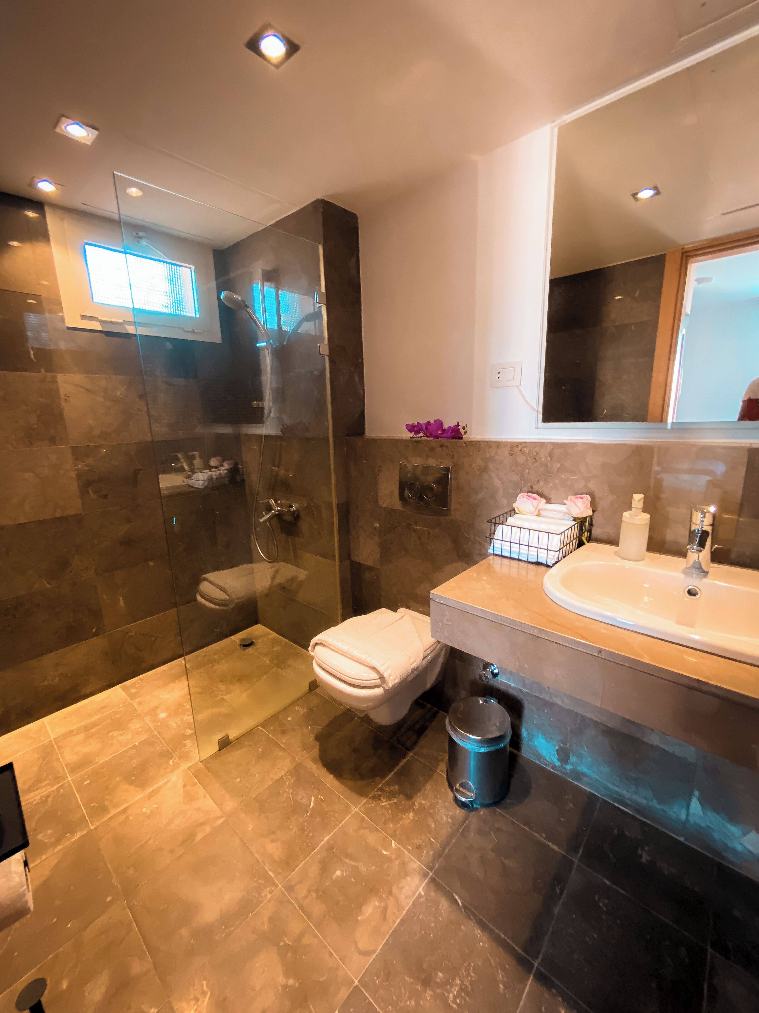 A modern bathroom with a glass-enclosed shower, a toilet, a sink, and a mirror.