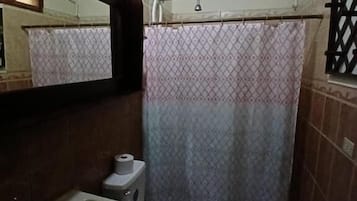 Chuveiro, toalhas de banho, shampoo, papel higiênico