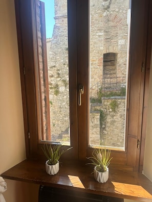 Eine Holztür mit zwei Blumentöpfen auf einem Fensterbrett, eine Steinmauer und ein Metallgitter im Hintergrund.
