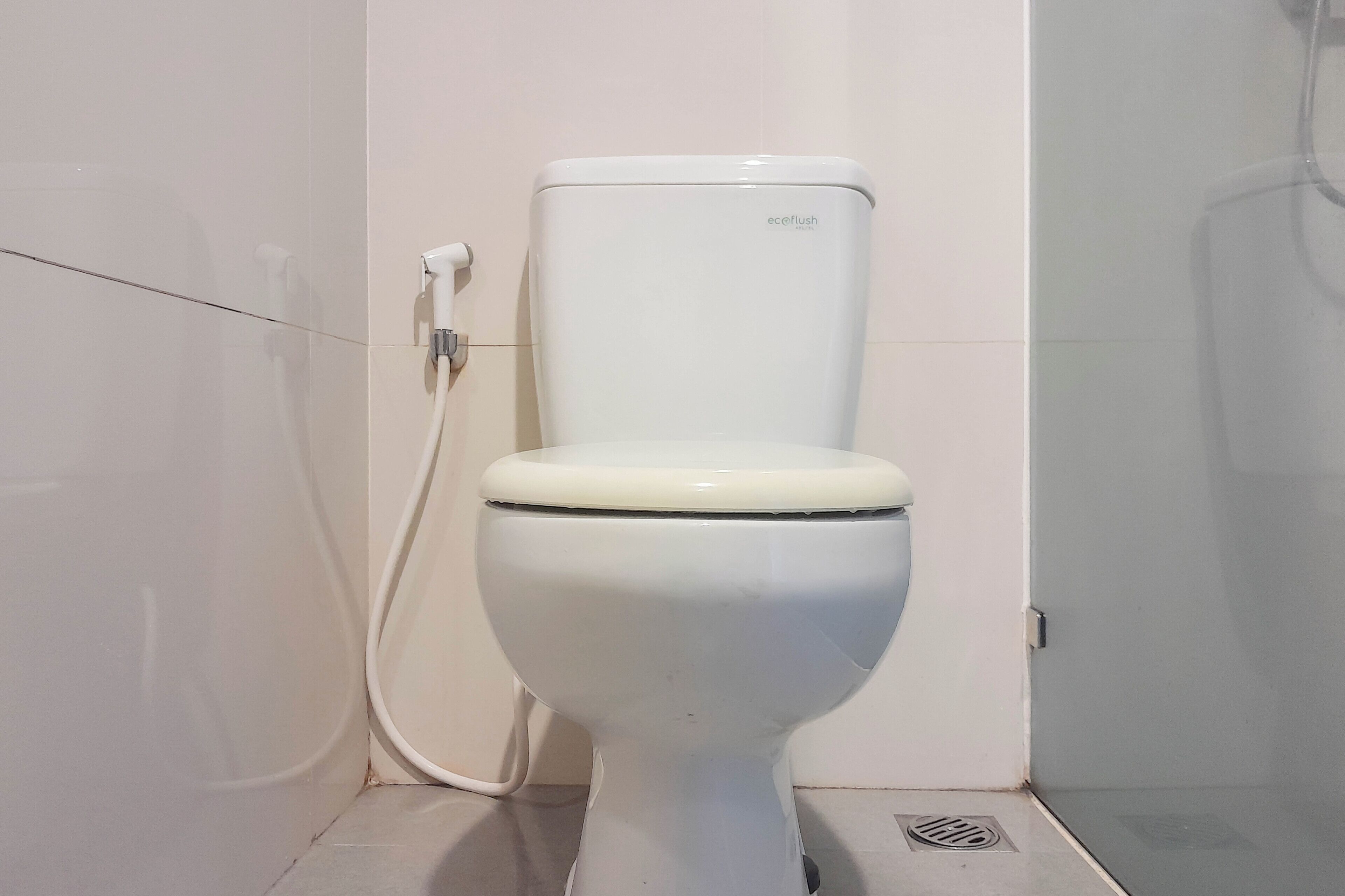 A white toilet with a tank labeled 'ecoflush' in a bathroom with white walls and a tiled floor.