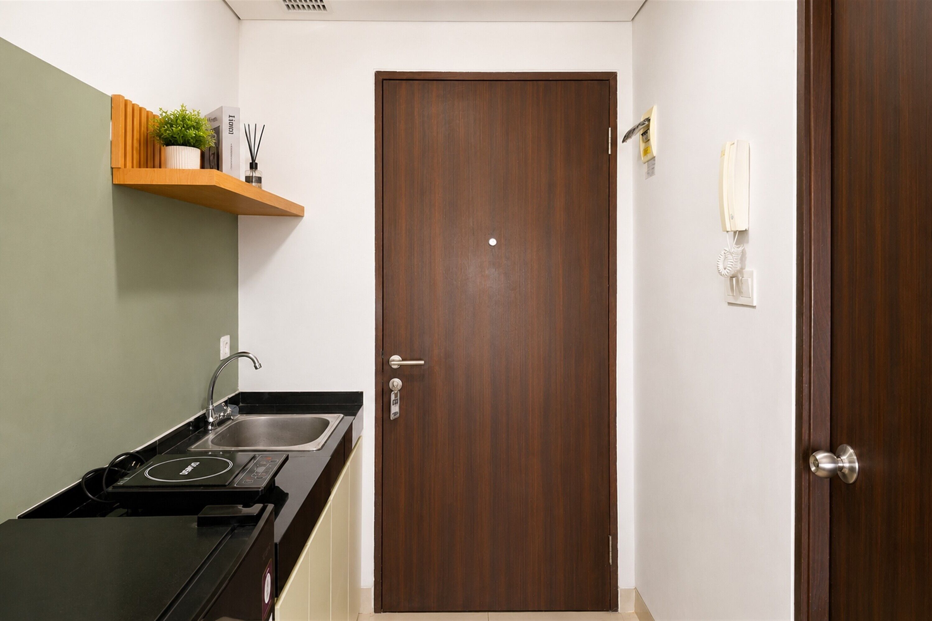 A kitchen with a stove, sink, and wooden shelf with a plant.