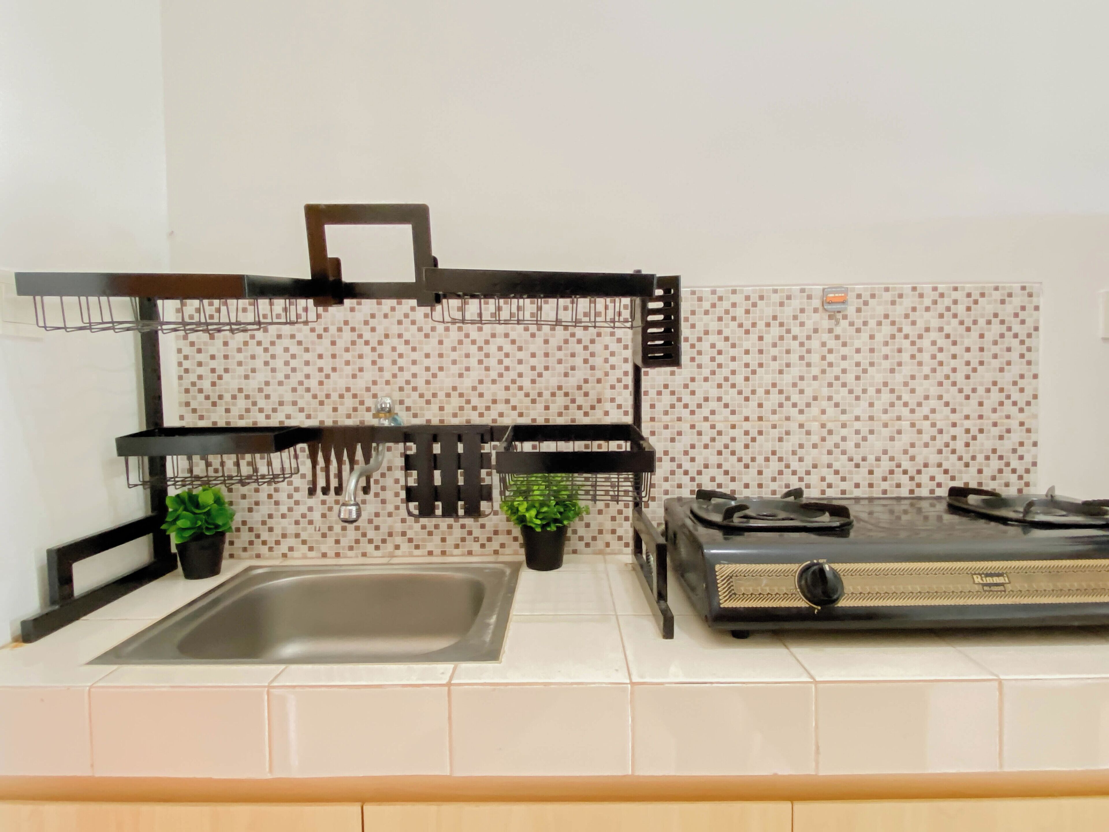 A kitchen with a sink, a stove, and two potted plants.