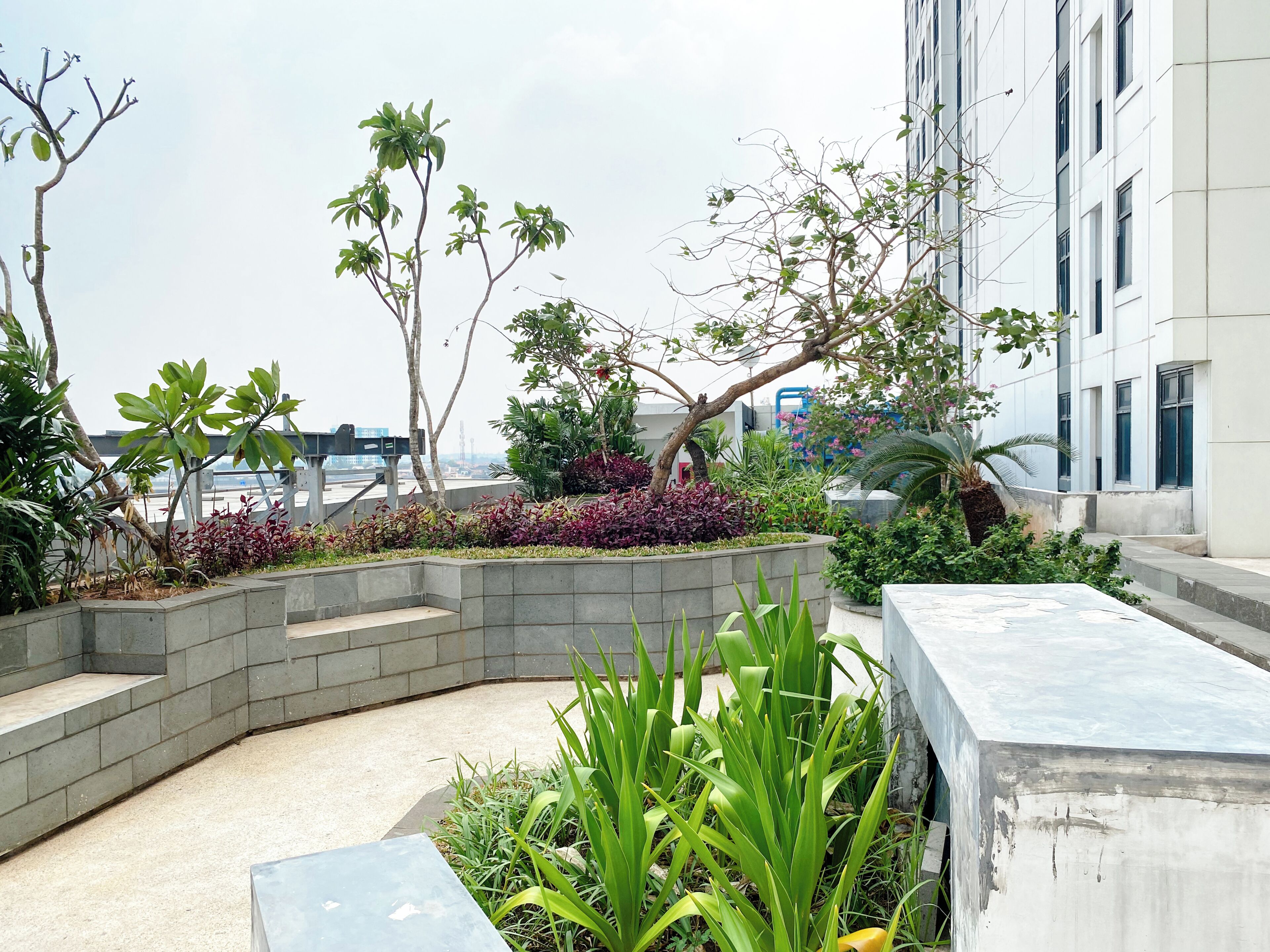 A rooftop garden with various plants and a seating area.