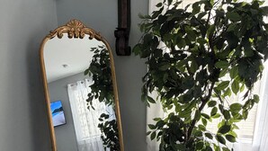 Quarto com um espelho grande, uma planta em vaso, uma cortina e uma televisão visível.