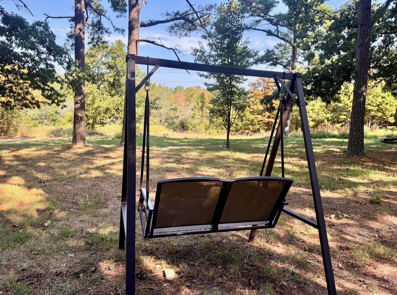 Une balançoire installée dans un espace boisé.
