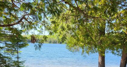 Quiet lakefront pet friendly cottage on motor-free Peter Lake